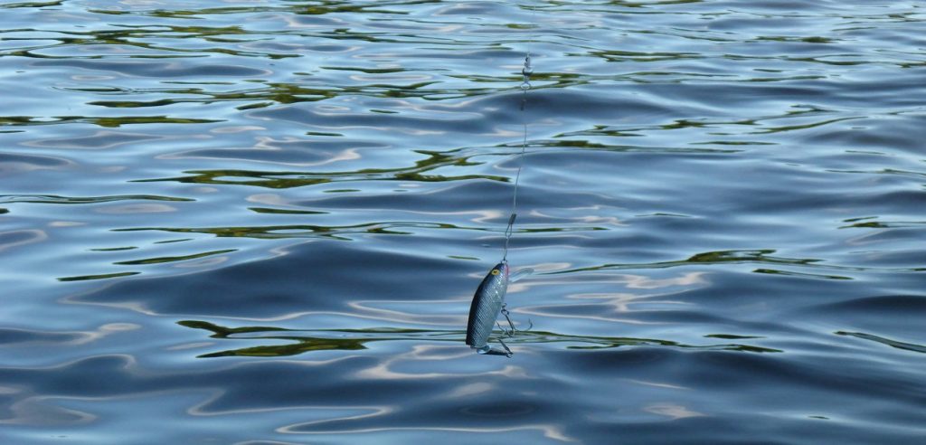 Bass fishing Lure