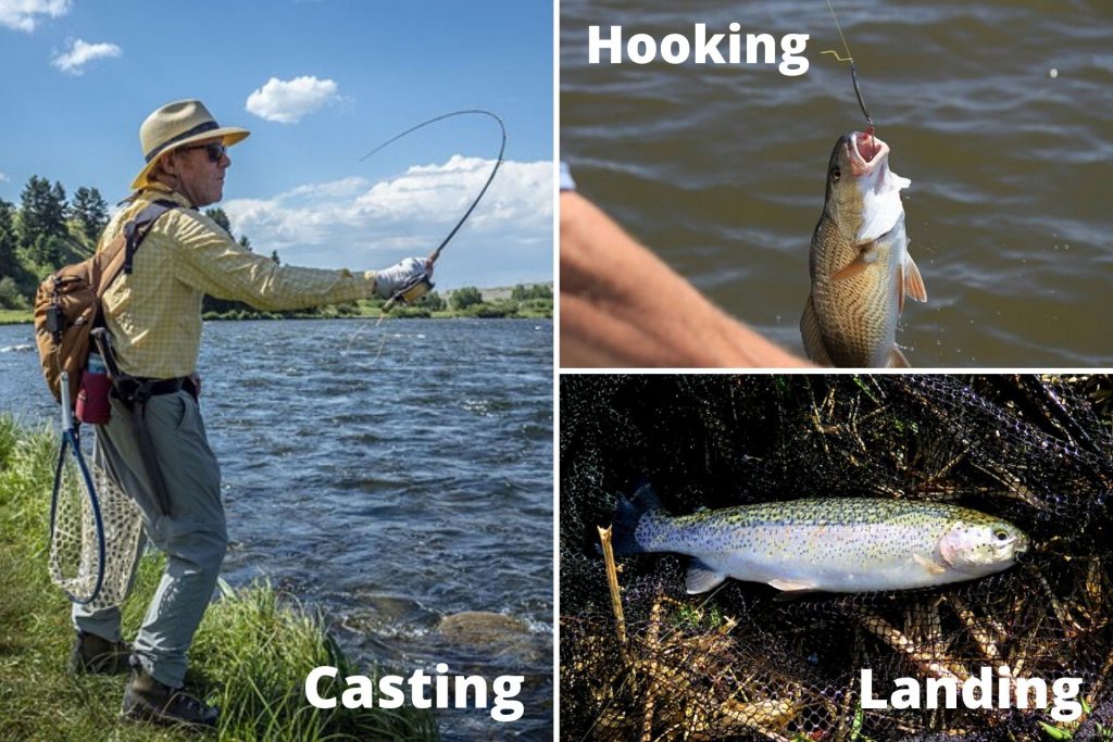Basic Fishing Techniques - Fishing Tips For Beginners