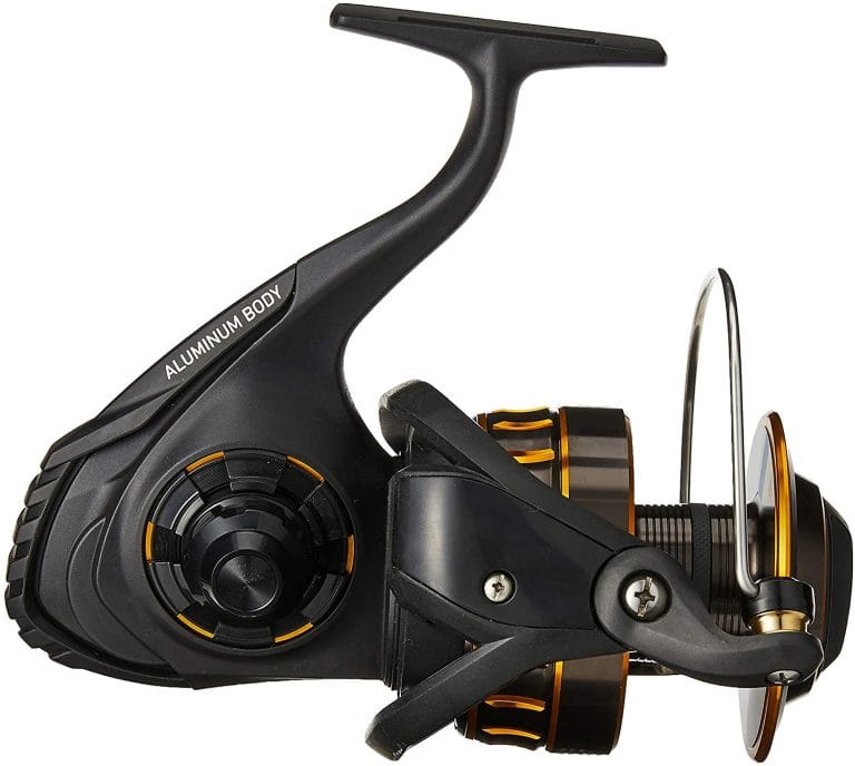 Daiwa BG Spinning Reel Review - [2020] - Fishing For Sport