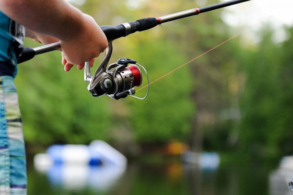 Daiwa BG Spinning Reel Review Spinning reel