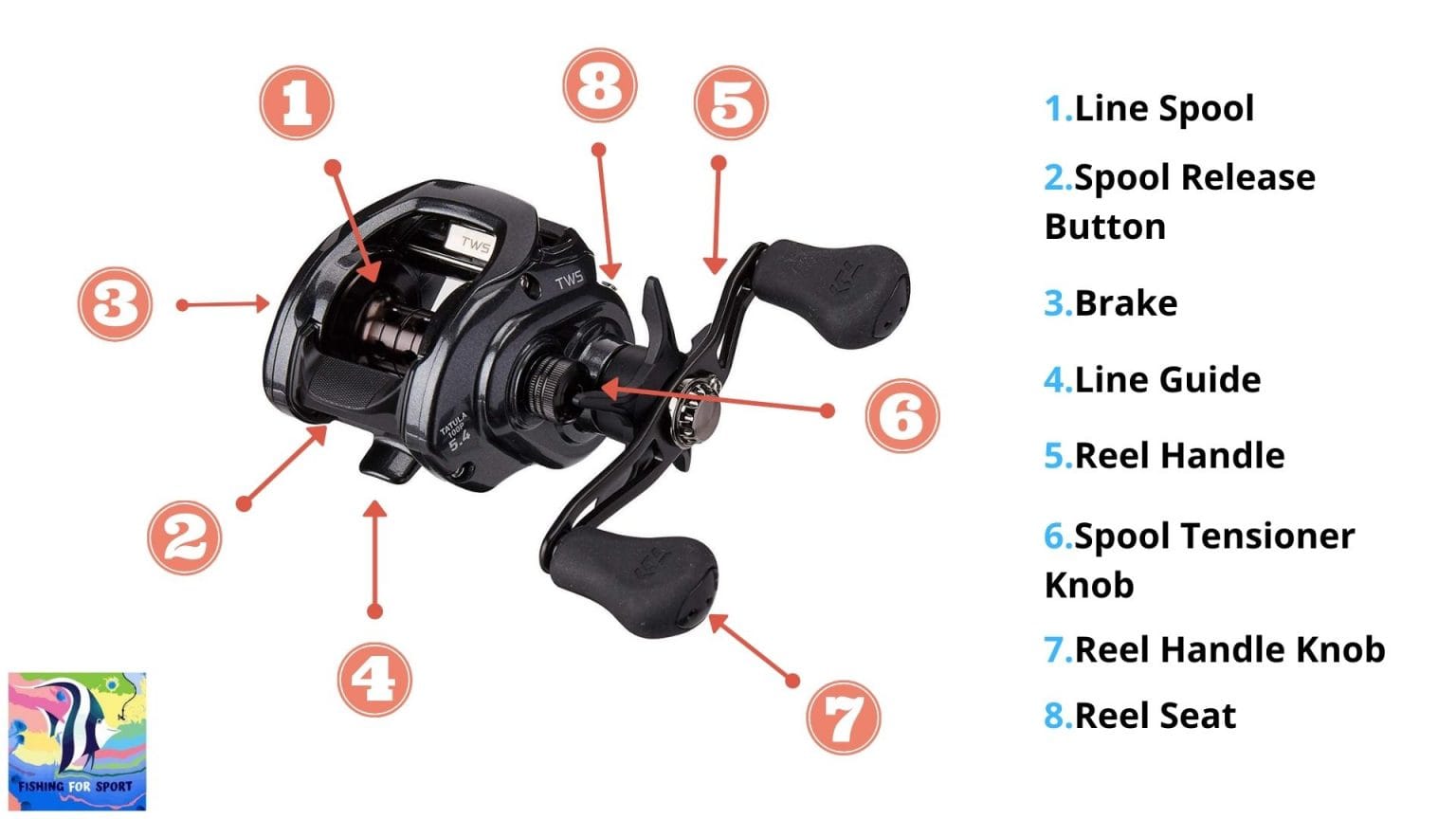 Best Baitcasting Reel for Saltwater [Reviews, Buying Guide]