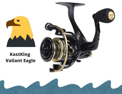 KastKing Valiant Eagle Review by Fishingforsport.com