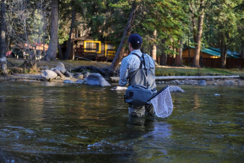 How to catch a trout