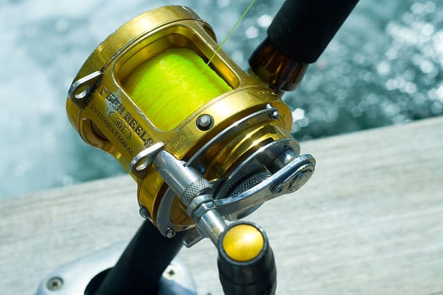 fishing reel by fishing for sport